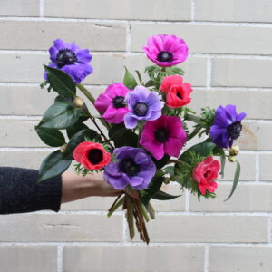 (Foto Größe S) Tauche ein in ein Meer aus Farben mit unserem atemberaubenden Anemonen- Strauß in kräftigen Pink- und Lilatönen. Außergewöhnlliche Blumen für besondere Anlässe, jetzt im Onlineshop! Lassen Sie sich verzaubern FLORARE POESIE Inspirationsideen Jetzt einfach online bestellen! oder im Geschäft Wir freuen uns auf Ihren Besuch und beraten Sie gerne. FÜR IHREN PERSÖNLICHEN BLUMENSTRAUSS Außergewöhnlliche Blumen für besondere Anlässe, jetzt im Onlineshop! Abibällen, Abschlussball, Advent, Allach, Allerheiligen, Alte Heide, Altstadt, Altstadt Lehel, Am Hart, am selben Tag Blumen liefern, am selben Tag liefern, Au, Aubing, ausgefallener Blumenstrauss, ausgefallener Strauss, Berg am Laim, blumen der liebe, blumen für allerheiligen, blumen für beerdigung, blumen für besondere anlässe, blumen für dich, Blumen für die Frauen am Valentinstag, Blumen für Frau, blumen für frau zum geburtstag, Blumen für Freund, Blumen für Freundin, blumen für freundschaft, blumen für geburtstag, Blumen für Geliebte, blumen für hochzeit, blumen für hochzeit bestellen, Blumen für Hochzeiten, Blumen für kolegin, Blumen für Kollege, Blumen für Kollegin, blumen für liebe, Blumen für Mama, Blumen für Mann, blumen für männer, Blumen für Oma, Blumen für Onkel, Blumen für Opa, Blumen für Papa, Blumen für Tante, blumen für weihnachten, Blumen liefern, Blumen liefern Allach, Blumen liefern Altstadt, Blumen liefern Am Hart, Blumen liefern Au, Blumen liefern Aubing, Blumen liefern Berg am Laim, Blumen liefern Bogenhausen, Blumen liefern Fasangarten, Blumen liefern Feldmoching, Blumen liefern Forstenried, Blumen liefern Freimann, Blumen liefern Fürstenried, Blumen liefern Giesing, Blumen liefern Hadern, Blumen liefern Haidhausen, Blumen liefern Harlaching, Blumen liefern Hasenbergl, Blumen liefern in München, Blumen liefern Isarvorstadt, Blumen liefern Laim, Blumen liefern Langwied, Blumen liefern Lehel, Blumen liefern Lochhausen, Blumen liefern Ludwigsvorstadt, Blumen liefern Maxvorstadt, Blumen liefern Milbertshofen, Blumen liefern Moosach, Blumen liefern Obergiesing, Blumen liefern Obermenzing, Blumen liefern Obersendling, Blumen liefern Pasing, Blumen liefern Perlach, Blumen liefern Ramersdorf, Blumen liefern Riem, Blumen liefern Schwabing, Blumen liefern Sendling, Blumen liefern Solln, Blumen liefern Thalkirchen, Blumen liefern Trudering, Blumen liefern Untergiesing, Blumen liefern Untermenzing, Blumen nach München verschicken, Blumen sind Glücklichmacher, blumen valentinstag, Blumen verschicken, Blumen zum Valentinstag online bestellen und verschicken, Blumenabo, Blumendeko, Blumengeschenk, Blumenkränze, Blumenliefern, Blumenlieferung, Blumenshop, Blumenstrauß, Blumenstrauß liefern, Blumenversand, Blumenversand München, Bogenhausen, Brautstrauß, couple geschenkideen, das alles hat, Das Fest der Liebe, Das Fest der Liebenden, Deko, Dekoration, Einige der beliebtesten Blumen für den Valentinstag sind Rosen, einweihung, Erlebnisgeschenke, extravagante Sträuße, Fasangarten, feier, Feldmoching, Firmenevents, Firmenjubiläen, Floristik & Design, Flower Delivery, Forstenried, frauen, Frauentag, Freimann, Freundinnen-Tag, Frühling, Frühlingsstrauß, Fürstenried, Garten arbeiten, Gartenarbeiten, Geburtstag, Geburtstage und besondere Anlässe online bestellen, Geburtstage und besondere Anlässe online bestellen in München, Geburtstagsgeschenk, Geburtstagsstrauss, Geburtstagsstrauss für Freundin, Geburtstagsüberraschung, Gedenkfeiern, Gemeinsame Erinnerungen, Geschenk, geschenk für die geliebte, geschenk für paar, Geschenk Idee, Geschenk Idee zu Weihnachten, Geschenk zum Frauentag, Geschenk zum Valentin, Geschenk zum Valentinstag, geschenke für den liebsten, Geschenkgutschein, Geschenkidee, Geschenkidee zu Weihnachten, Geschenkidee zum WEltfrauentag, Gesteck, Giesing, Glücklichmacher, Grabschmuck, großen Liebe, Gute Laune Blumen verschicken, Gutschein, Gutscheine, Hadern, Haidhausen, Harlaching, Hasenbergl, Heckenpflanzen, Heiraten, Heiratsantrag, Heiratsversprechen, Herz, Herzen, Hobbygärtner, Hochzeit, Hochzeiten, Hochzeitsantrag, Hochzeitsblumen, Hochzeitsdeko, Hochzeitversprechen, Hortensien, Innenstadt, Innenstadt München, Jahresversammlungen, Kauf deinen Valentinstag-Blumenstrauß jetzt online, klassischen Rosenstrauß aus roten Rosen, Kranz, Kranz mit Schleife, kreatives geschenk für freund, Küsse, Laim, Langwied, Lass Dir die schönsten Blumen liefern, Lehel, liebesbeweis, Liebesbotschaft, Liebesbotschaften, Liebesbrief, liebesgeschenk, Liebesgrüße, liebevoll, Liefern, Liefern zu Weihnachten, Lieferservice, Lieferung an Freund, Lieferung an Freundin, Lilien, Lochhausen, Ludwigsvorstadt, Maiglöckchen, Maxvorstadt, Milbertshofen, Mitbringsel, Moosach, München, Muttertag, muttertag floristik, Namenstag, Nelken, Neuhausen, Nikolaus, Nymphenburg, Obergiesing, Obermenzing, Obersendling, Obstbäume, Palme, Pärchen, partner geschenke für ihn, Pasing, Perlach, Pflanzarbeiten, Pflanze, Privathäuser, Ramersdorf, Riem, Romantisch, romantische geschenke für paare, romantisches Abendessen, Rosen liebe, rosen zum valentinstag, rosenbär, rote Rosen die perfekten Liebesboten, rote Rosen zum Valentinstag, Schokolade, Schwabing, Schwanthalerhöhe, Sendling, Solln, Sträucher, Strauß, Strauß liefern in München, Süßigkeiten, Tag der Frau, Tag der Freundschaft, Tag der Liebe, Tag der Liebe und Freundschaft, Tanne, Terrasse, Thalkirchen, Trauer, Trauerfeier, Trauergesteck, Trauerkranz, Trudering, Tulpen, Tulpenstrauß, Überraschung, Übertopf, unkomplizierte Liebe, Untergiesing, Untermenzing, unvergessliche geschenke für den partner, Valentin, valentinsstrauß, valentinsstrauß verschicken, Valentinstag, valentinstag blumen, Valentinstag Blumen liefern, valentinstag geschenk, valentinstag geschenk beste freundin, valentinstag geschenk für Freund, valentinstag geschenke für frauen, valentinstag geschenke männer, valentinstag liebe, valentinstag strauß, valentinstag tag der liebe, valentinstag überraschung für freundin, Valentinstaggeschenk, Valentinstagidee, Valentinstagstaggeschenk, Vatertag, Veilchen, Veilchen und Maiglöckchen, Verführung, Verführungpur, Verlobung, Vertrauen, Weihnachten, Weihnachtsbaum, Weihnachtsfeier, welche blume steht für neuanfang, Weltfrauentag, Wertschätzung, Westpark, Wohlfühlen, wohnen, wohnung, Zimmerpalme, Zimmerpflanzen, Zu Valentinstag Blumen verschicken und deine Liebste überraschen, zuhause, Zum Valentinstag Blumen zu verschicken, Zuneigung, Zweisamkeit