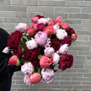 Der Pfingstrosenstrauß, ein zauberhaftes Bouquet aus sanften, üppigen Blüten, entfaltet sich wie ein kleines Wunderwerk der Natur. Die zarten, runden Köpfe schimmern in Farben von zartem Rosa bis hin zu leidenschaftlichem Rot, als würden sie die Sonnenstrahlen in ihren samtigen Blättern fangen.