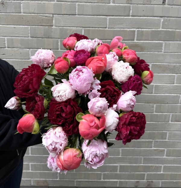 Der Pfingstrosenstrauß, ein zauberhaftes Bouquet aus sanften, üppigen Blüten, entfaltet sich wie ein kleines Wunderwerk der Natur. Die zarten, runden Köpfe schimmern in Farben von zartem Rosa bis hin zu leidenschaftlichem Rot, als würden sie die Sonnenstrahlen in ihren samtigen Blättern fangen.