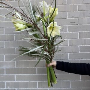 Setze ein festliches Statement mit unserem festlichen Amaryllis-Bouquet. Mit leuchtend roten Amaryllisblüten, umgeben von üppigem Tannengrün, verkörpert dieses Arrangement weihnachtliche Eleganz und winterlichen Zauber. Perfekt, um jedem Raum einen festlichen Farbtupfer zu verleihen, bringt dieses Bouquet zur Weihnachtszeit Wärme, Freude und einen Hauch saisonaler Magie in die Wohnzimmer deiner Liebsten.