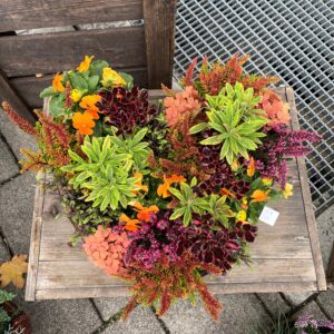 Floristisches Pflanzherz „Herbstzauber“ – Stilvoller Grabschmuck & Herbstdekoration