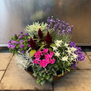 Premium-Herbstzauber - Farbenfrohe Pflanzschale im Alpin-Look