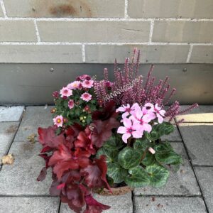 Herbst-Zauber in der Schale - Farbenfrohes Pflanzarrangement