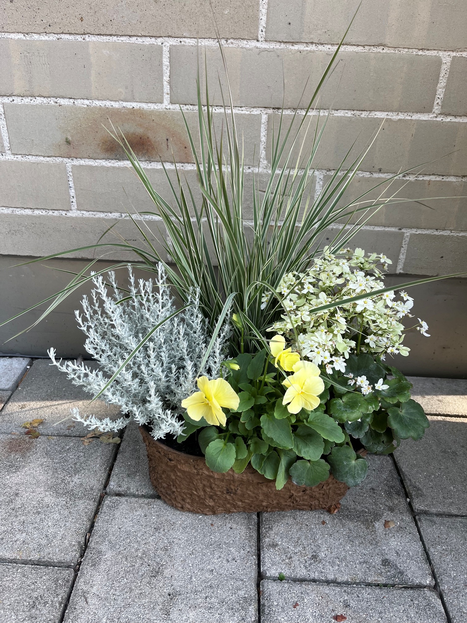 Herbstlicher Pflanzzauber „Harmonie“